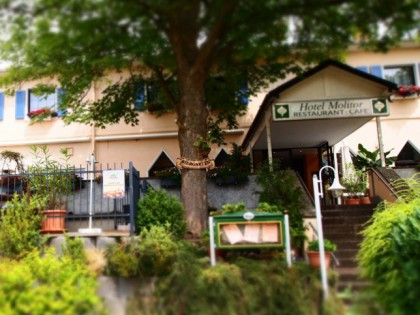照片: Hotel Restaurant Molitor